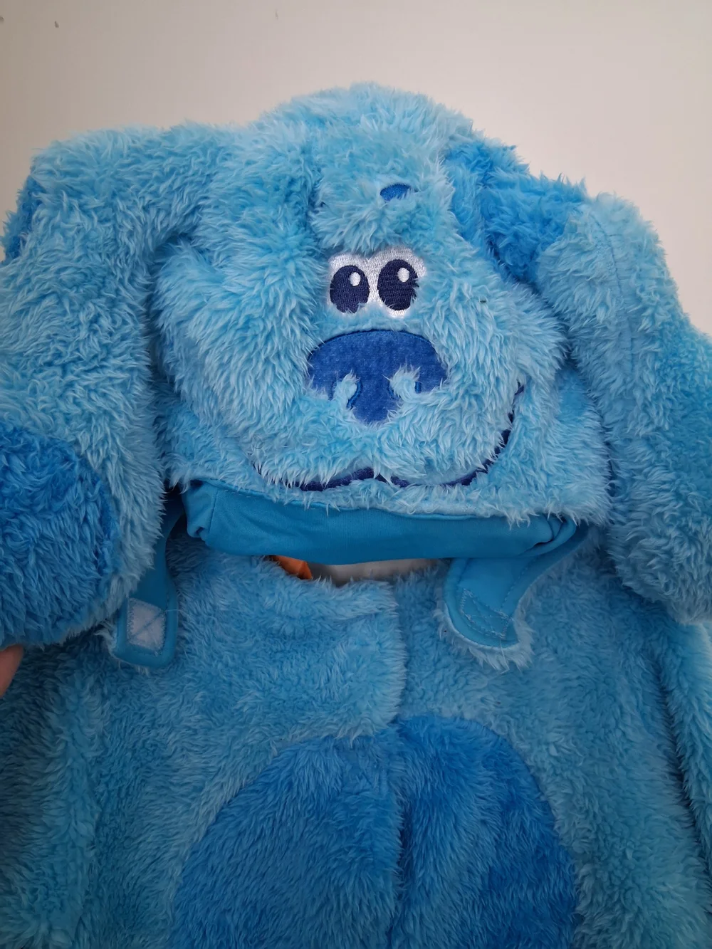 Nickelodeon Blues Clues Costume